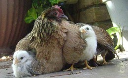 Psalm 91 “Shadow of the Almighty” – Pastor&nbsp;Totman