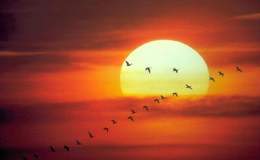 Lee’s Seven Word Sunday –&nbsp;6/5/16