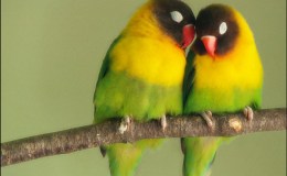 Lee’s One Word Monday&nbsp;6/27/16