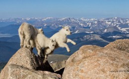 Balancing High Risks:  Mountain Climbing and the First&nbsp;Amendment