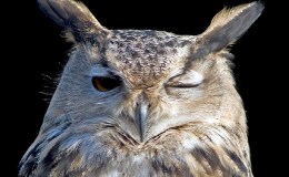 Lee’s One Word Monday –&nbsp;6/13/16