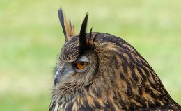 Lee’s Two Word Tuesday –&nbsp;9/27/16