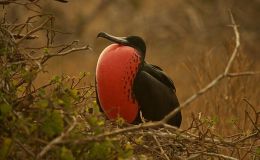 The Sun Is Finally Back&nbsp;Out!