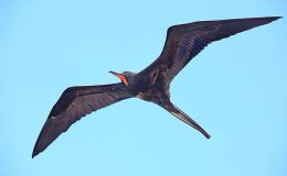 Lee’s Seven Word Sunday –&nbsp;6/25/17