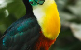 Lee’s Seven Word Sunday –&nbsp;6/12/16