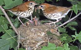 Lee’s Five Word Friday –&nbsp;10/14/16