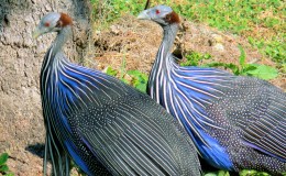 Lee’s Two Word Tuesday –&nbsp;7/12/16