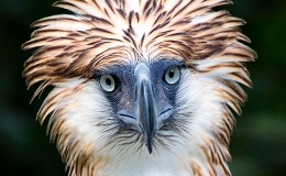 Lee’s Three Word Wednesday –&nbsp;7/13/16