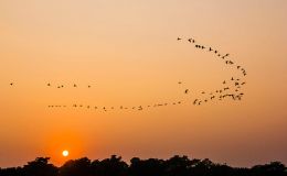 Lee’s Seven Word Sunday –&nbsp;7/17/16