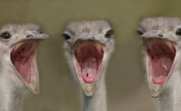 Lee’s Seven Word Sunday –&nbsp;7/10/16