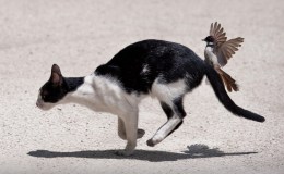 Lee’s Six Word Saturday –&nbsp;7/9/16