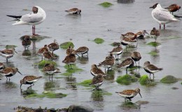 Lee’s Three Word Wednesday –&nbsp;11/30/16