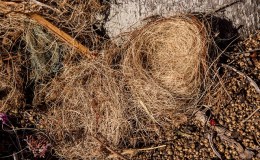 Lee’s Three Word Wednesday –&nbsp;7/20/16