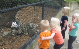 Lee’s Two Word Tuesday –&nbsp;7/19/16