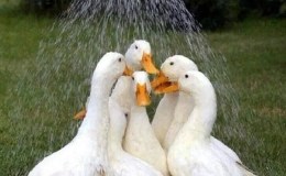 Lee’s Seven Word Sunday –&nbsp;7/24/16