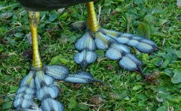 Lee’s Five Word Friday –&nbsp;7/22/16