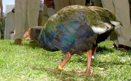 Lee’s Three Word Wednesday –&nbsp;8/3/16