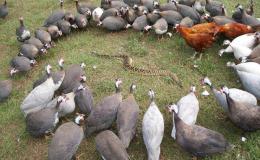 Lee’s Seven Word Sunday –&nbsp;7/31/16