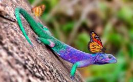 Lee’s One Word Monday –&nbsp;7/25/16