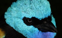 Lee’s Four Word Thursday –&nbsp;7/14/16