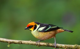 Lee’s One Word Monday –&nbsp;8/15/16