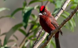 Lee’s Six Word Saturday –&nbsp;7/23/16