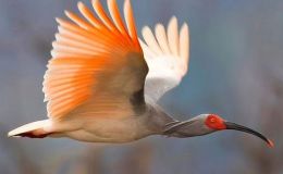 Lee’s One Word Monday –&nbsp;7/11/16