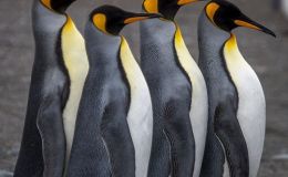 Lee’s Five Word Friday –&nbsp;7/8/16