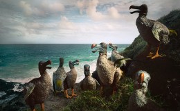 Lee’s Six Word Saturday –&nbsp;8/20/2016