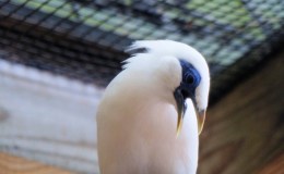 Lee’s Two Word Tuesday –&nbsp;8/16/2016