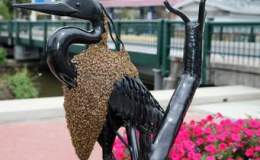 Lee’s One Word Monday –&nbsp;9/12/16