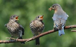 Six Word Saturday – Next Day God Prepared A&nbsp;Worm