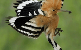 Lee’s Three Word Wednesday –&nbsp;9/14/16