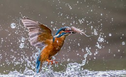 Lee’s Three Word Wednesday –&nbsp;8/10/16