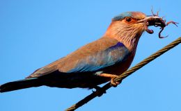 Lee’s Six Word Saturday –&nbsp;9/17/16