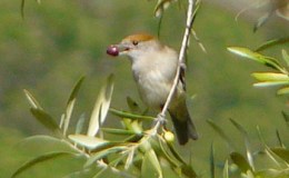 Lee’s Two Word Tuesday –&nbsp;9/13/16