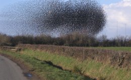 Lee’s One Word Monday –&nbsp;11/21/16