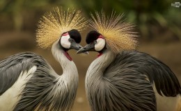 Lee’s Three Word Wednesday –&nbsp;8/31/16