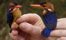 Lee’s Six Word Saturday –&nbsp;8/13/16