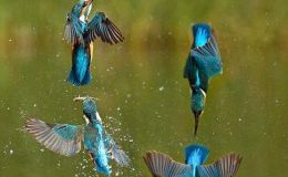 Lee’s Four Word Thursday –&nbsp;9/1/16