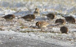 Lee’s Six Word Saturday –&nbsp;11/26/16