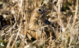 Lee’s One Word Monday –&nbsp;12/5/16