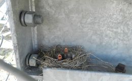 Lee’s Two Word Tuesday –&nbsp;11/22/16