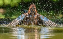 Lee’s Five Word Friday –&nbsp;8/12/16