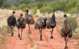 Lee’s Four Word Thursday –&nbsp;9/22/16