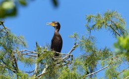 Lee’s Three Word Wednesday –&nbsp;9/21/16