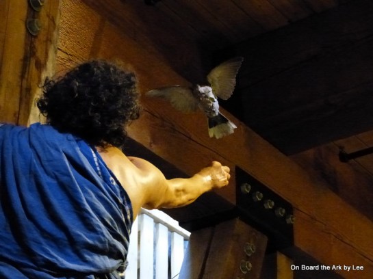 Noah taking the Dove Back on board. the Ark