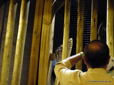 Bird Enclosures at the Ark Encounter