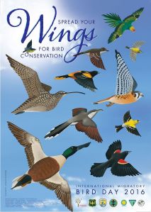 internatlmigratorybirdday-2016-poster