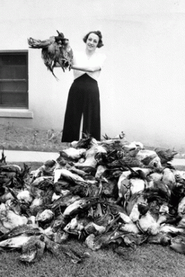laceyact-banned-wasteful-bird-hunting-publicdomain-photo